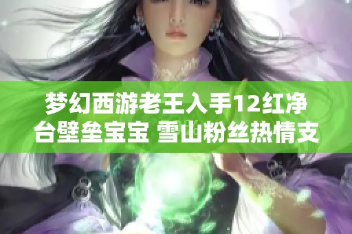 梦幻西游老王入手12红净台壁垒宝宝 雪山粉丝热情支持再创新篇