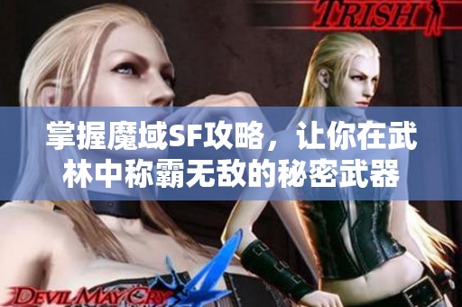 掌握魔域SF攻略，让你在武林中称霸无敌的秘密武器