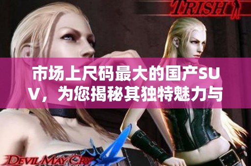 市场上尺码最大的国产SUV，为您揭秘其独特魅力与性能表现