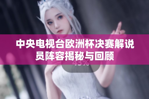 中央电视台欧洲杯决赛解说员阵容揭秘与回顾