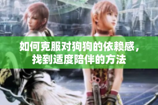 如何克服对狗狗的依赖感，找到适度陪伴的方法