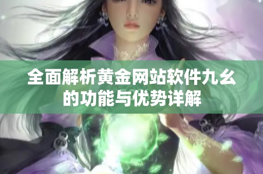 全面解析黄金网站软件九幺的功能与优势详解