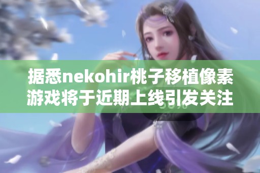 据悉nekohir桃子移植像素游戏将于近期上线引发关注