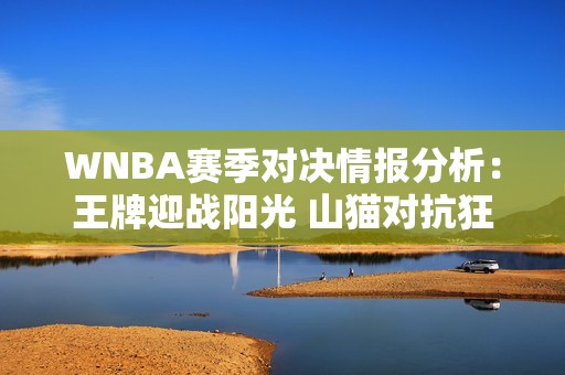 WNBA赛季对决情报分析：王牌迎战阳光 山猫对抗狂热