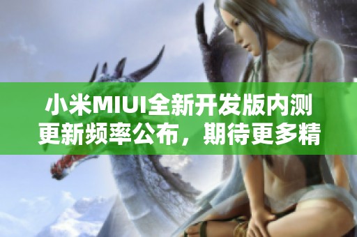 小米MIUI全新开发版内测更新频率公布，期待更多精彩功能上线