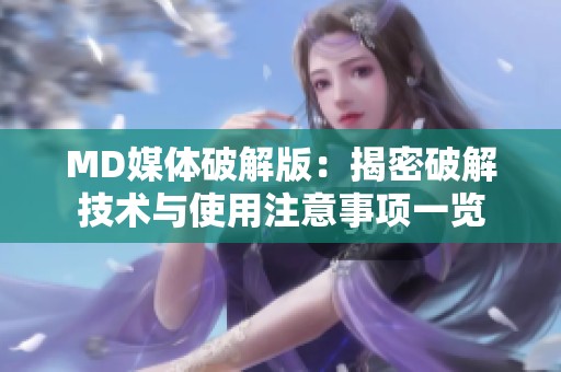 MD媒体破解版：揭密破解技术与使用注意事项一览