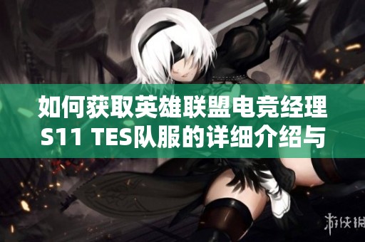 如何获取英雄联盟电竞经理S11 TES队服的详细介绍与方式