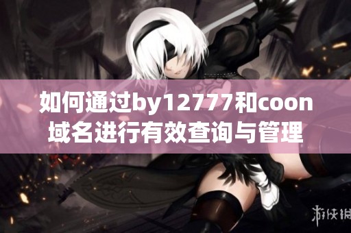 如何通过by12777和coon域名进行有效查询与管理