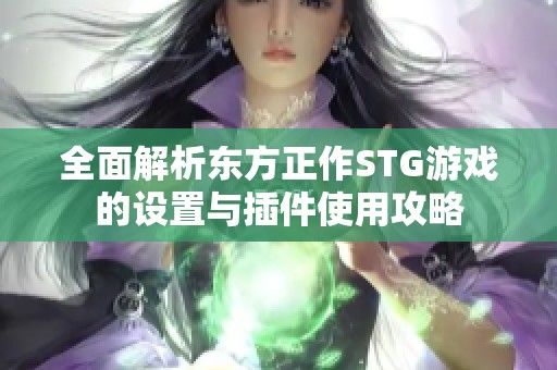 全面解析东方正作STG游戏的设置与插件使用攻略