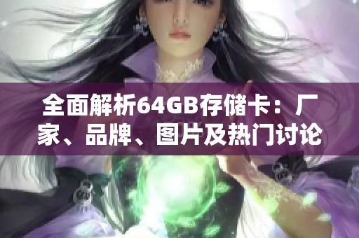 全面解析64GB存储卡：厂家、品牌、图片及热门讨论信息