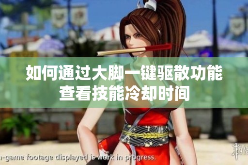 如何通过大脚一键驱散功能查看技能冷却时间