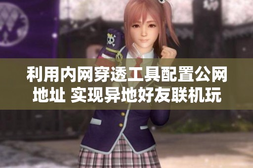 利用内网穿透工具配置公网地址 实现异地好友联机玩法