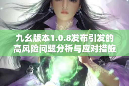 九幺版本1.0.8发布引发的高风险问题分析与应对措施