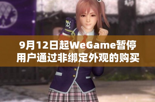 9月12日起WeGame暂停用户通过非绑定外观的购买渠道