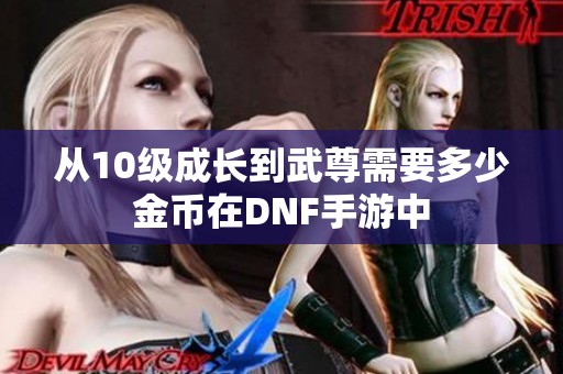 从10级成长到武尊需要多少金币在DNF手游中