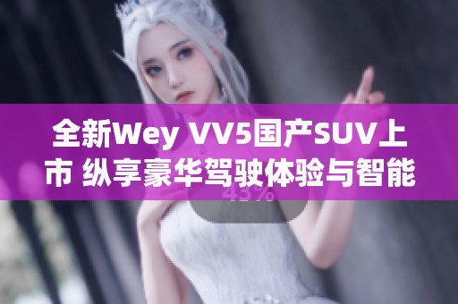 全新Wey VV5国产SUV上市 纵享豪华驾驶体验与智能科技