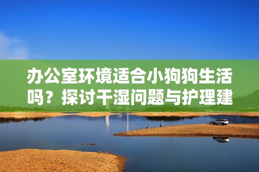 办公室环境适合小狗狗生活吗？探讨干湿问题与护理建议
