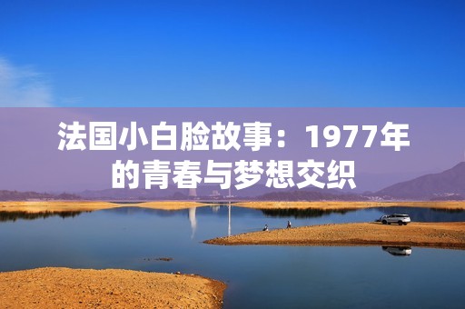 法国小白脸故事：1977年的青春与梦想交织