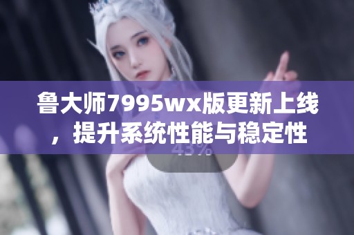 鲁大师7995wx版更新上线，提升系统性能与稳定性