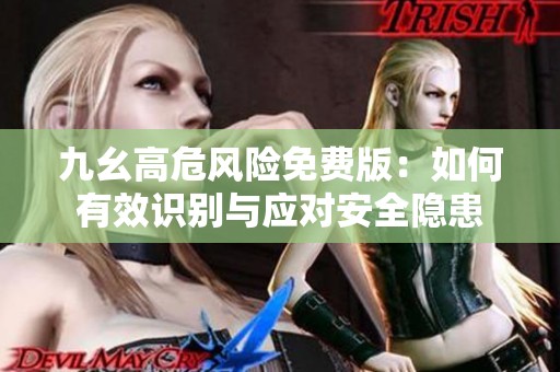 九幺高危风险免费版：如何有效识别与应对安全隐患