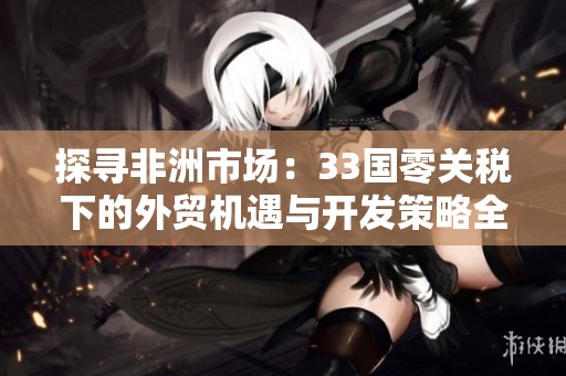 探寻非洲市场：33国零关税下的外贸机遇与开发策略全解析