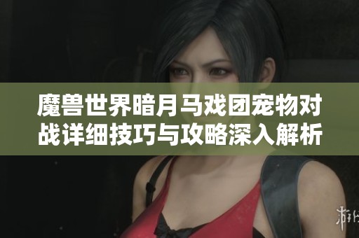 魔兽世界暗月马戏团宠物对战详细技巧与攻略深入解析