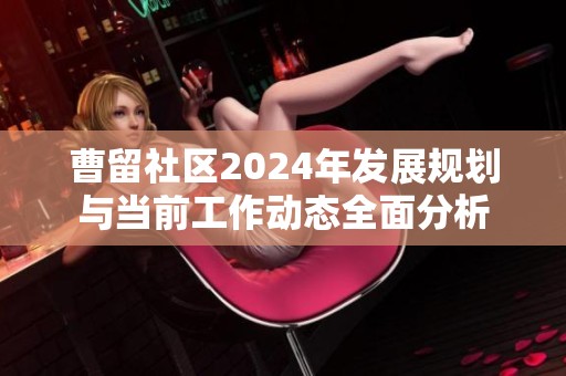 曹留社区2024年发展规划与当前工作动态全面分析