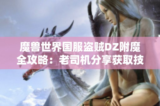 魔兽世界国服盗贼DZ附魔全攻略：老司机分享获取技巧与经验