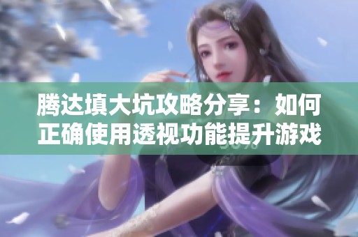 腾达填大坑攻略分享：如何正确使用透视功能提升游戏体验