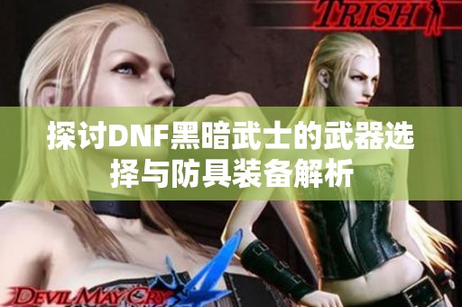 探讨DNF黑暗武士的武器选择与防具装备解析