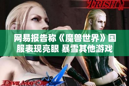 网易报告称《魔兽世界》国服表现亮眼 暴雪其他游戏即将回归