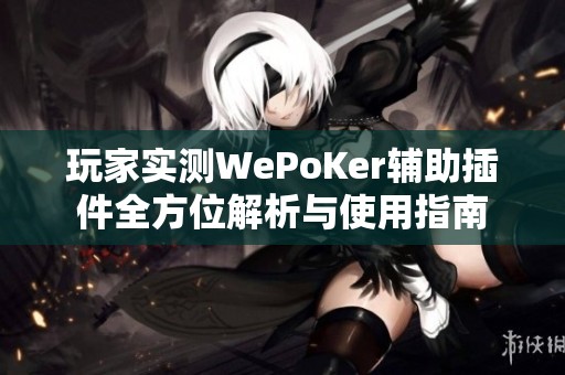 玩家实测WePoKer辅助插件全方位解析与使用指南