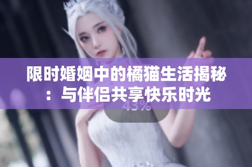 限时婚姻中的橘猫生活揭秘：与伴侣共享快乐时光