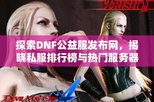 探索DNF公益服发布网，揭晓私服排行榜与热门服务器！