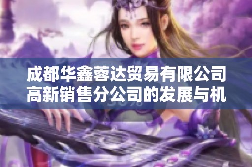 成都华鑫蓉达贸易有限公司高新销售分公司的发展与机遇分析