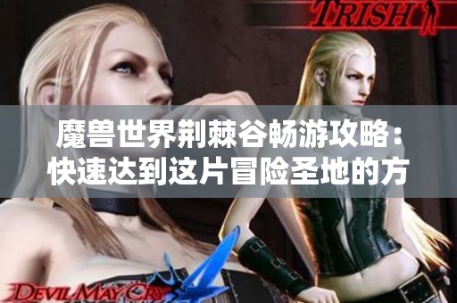 魔兽世界荆棘谷畅游攻略：快速达到这片冒险圣地的方法