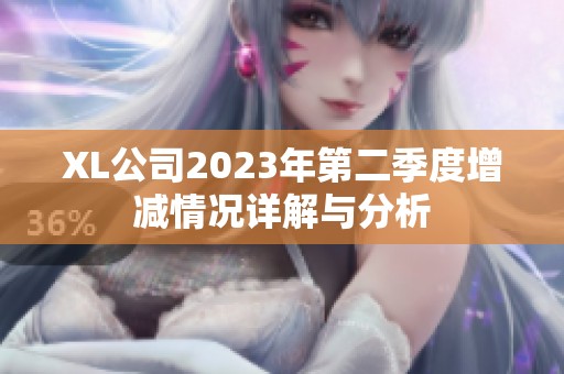 XL公司2023年第二季度增减情况详解与分析