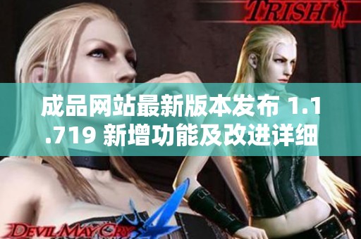 成品网站最新版本发布 1.1.719 新增功能及改进详细解析